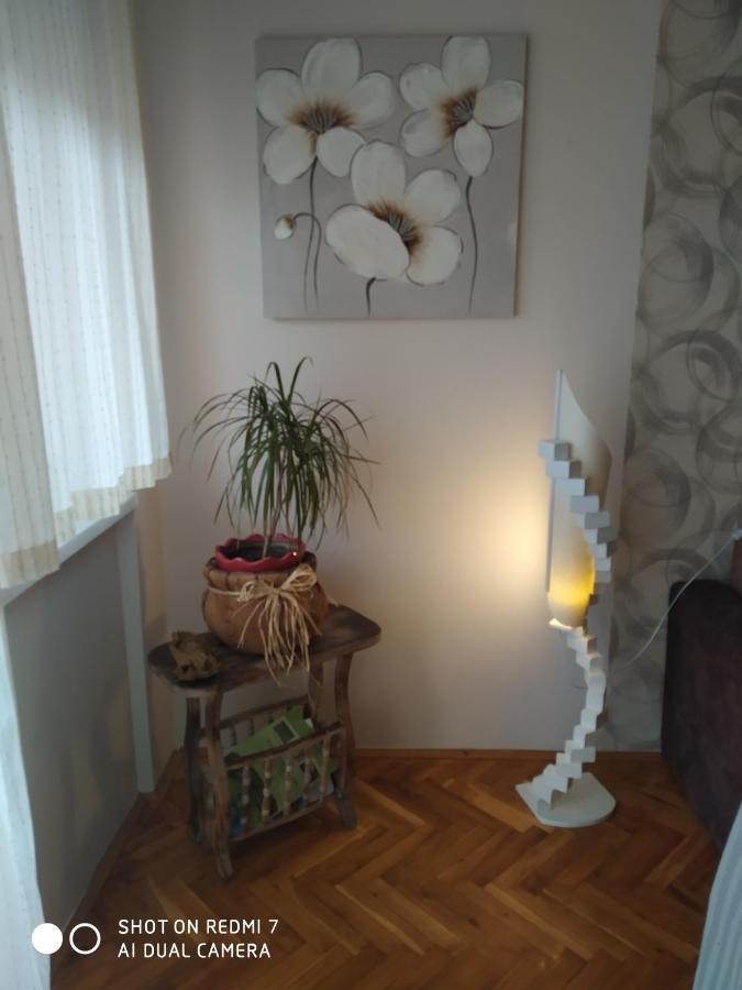Apartman Ivan Vrdnik Buitenkant foto