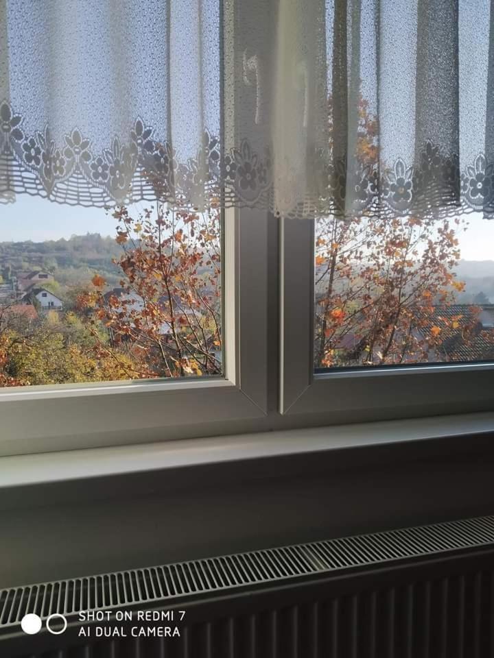 Apartman Ivan Vrdnik Buitenkant foto