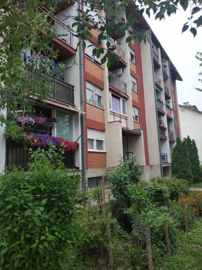 Apartman Ivan Vrdnik Buitenkant foto