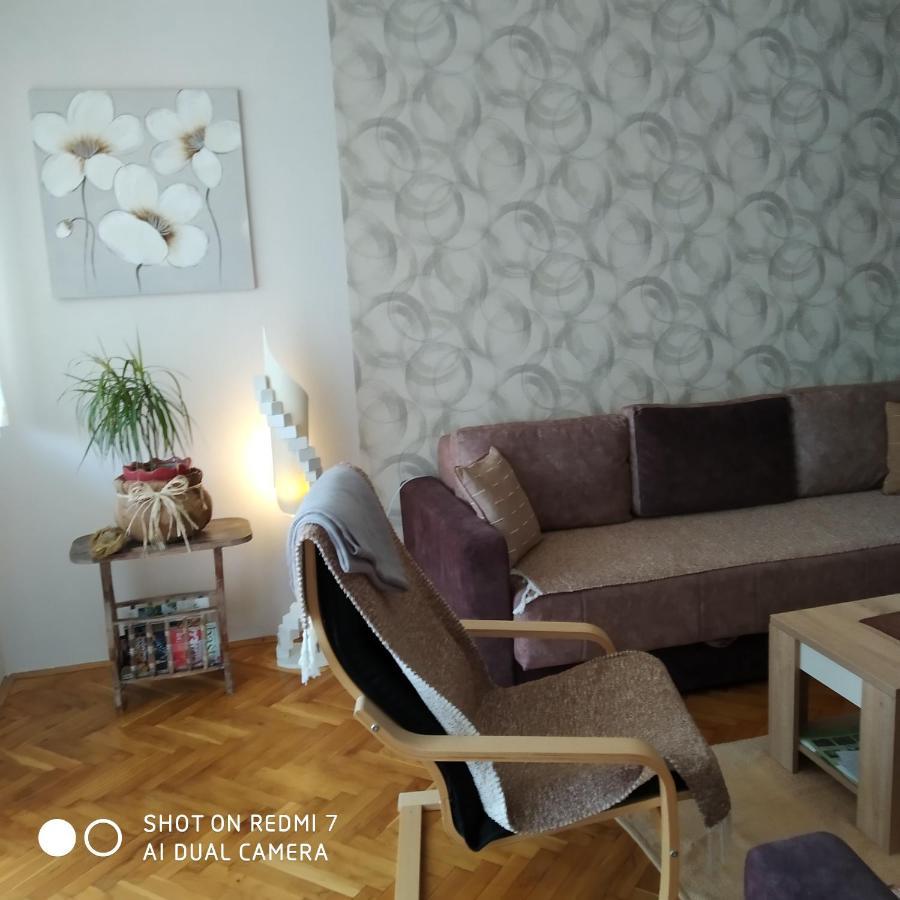 Apartman Ivan Vrdnik Buitenkant foto