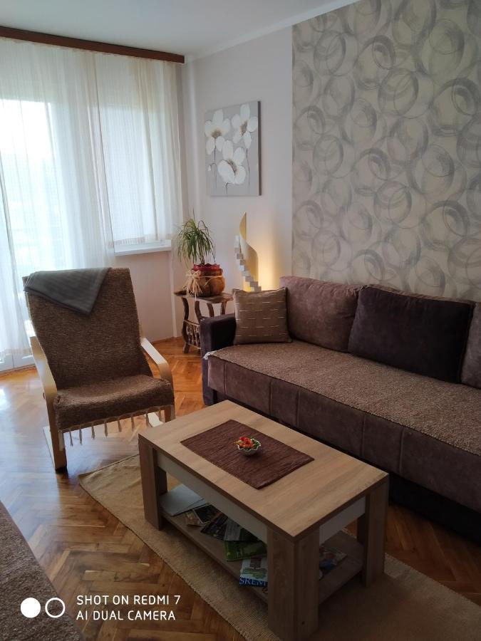 Apartman Ivan Vrdnik Buitenkant foto